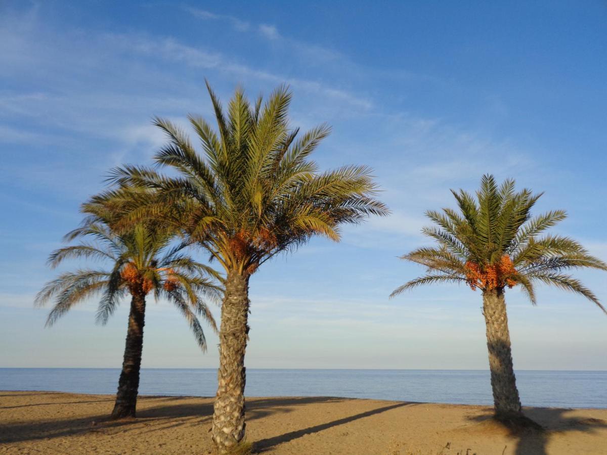 Precioso Apart Sur Y Norte Cerca Playa Y Centro - Cascadas De La Marina Дения Екстериор снимка